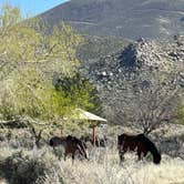 Review photo of Washoe Lake State Park Campground by Jayne N., April 22, 2025
