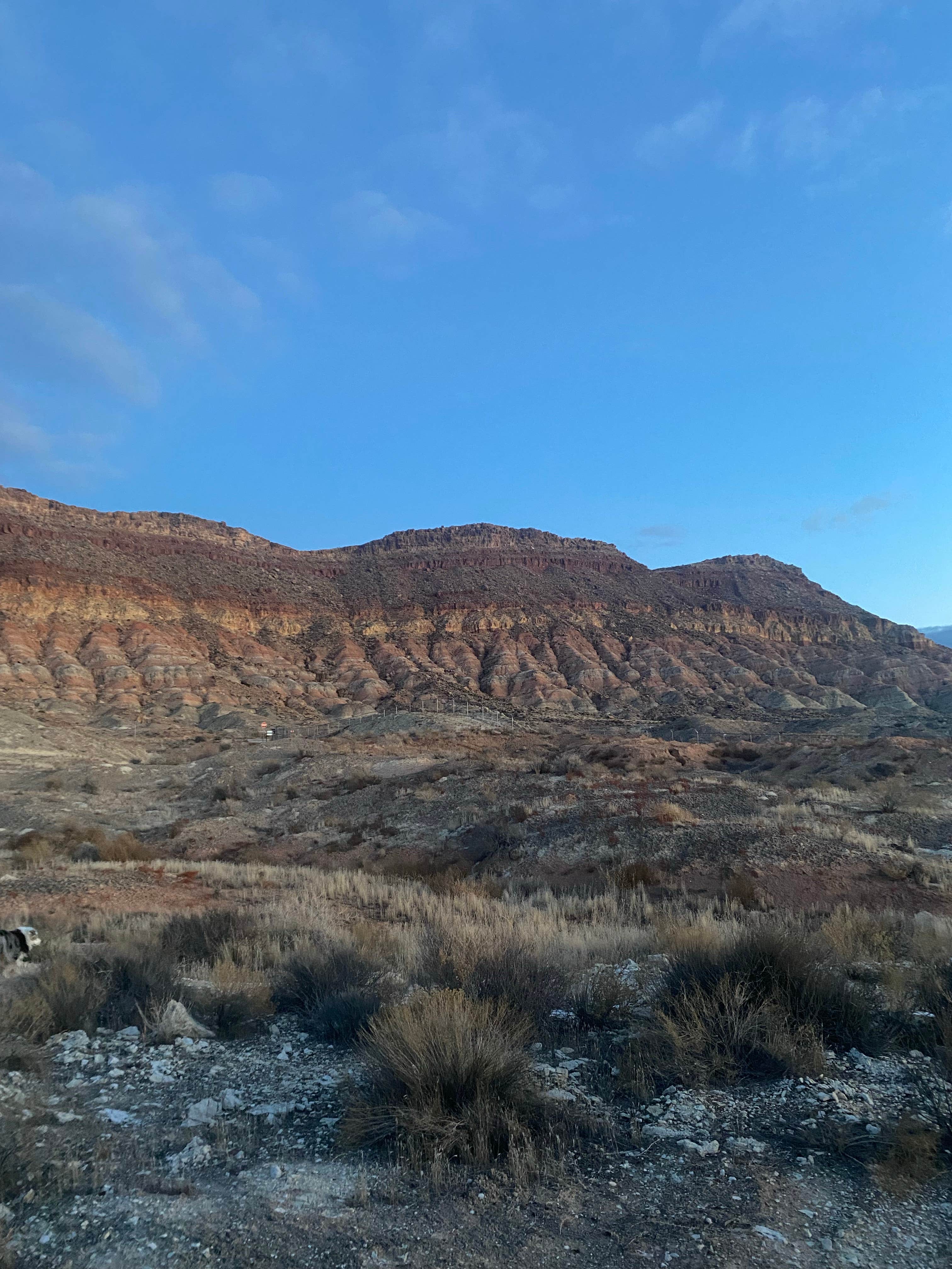 Vivian  G.'s photo of camping with pets at Water Conservancy District Camping near Dammeron Valley, UT