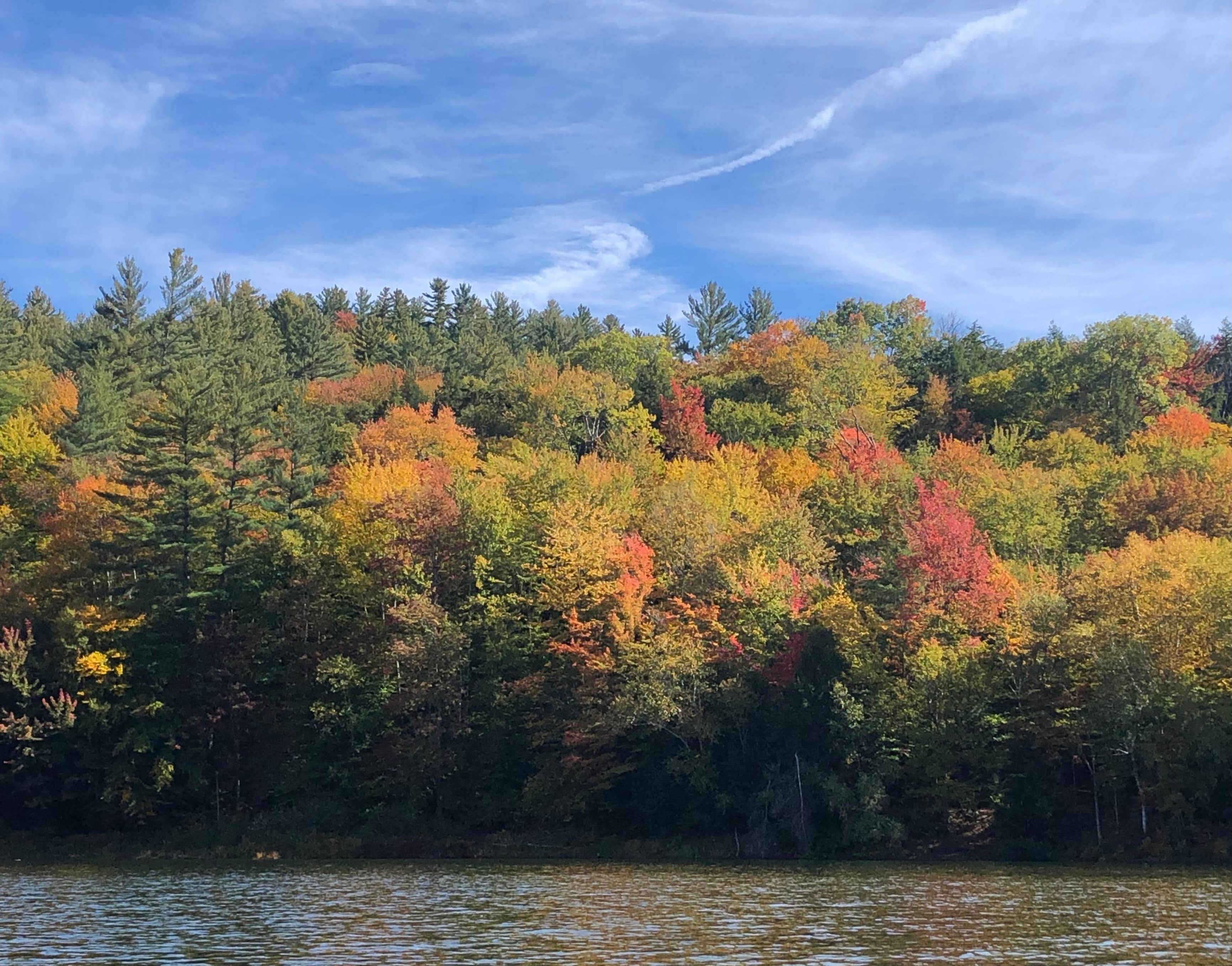 Camper submitted image from Waterbury Reservoir Remote Sites — Waterbury Center State Park - 2