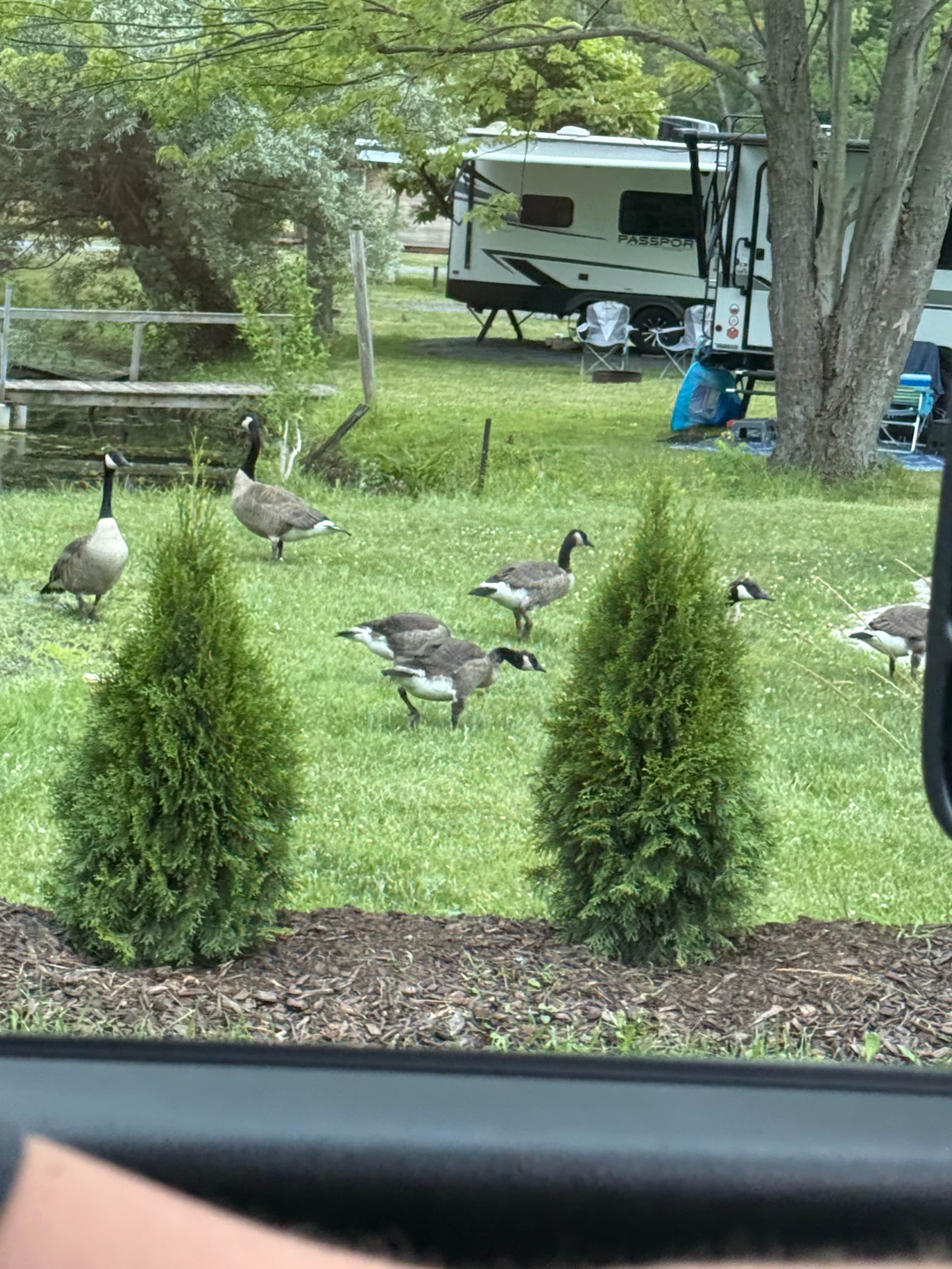 Camper-submitted photo at Waterloo Harbor Campground near Geneva, NY