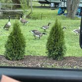 Review photo of Waterloo Harbor Campground by sonja M., July 9, 2025
