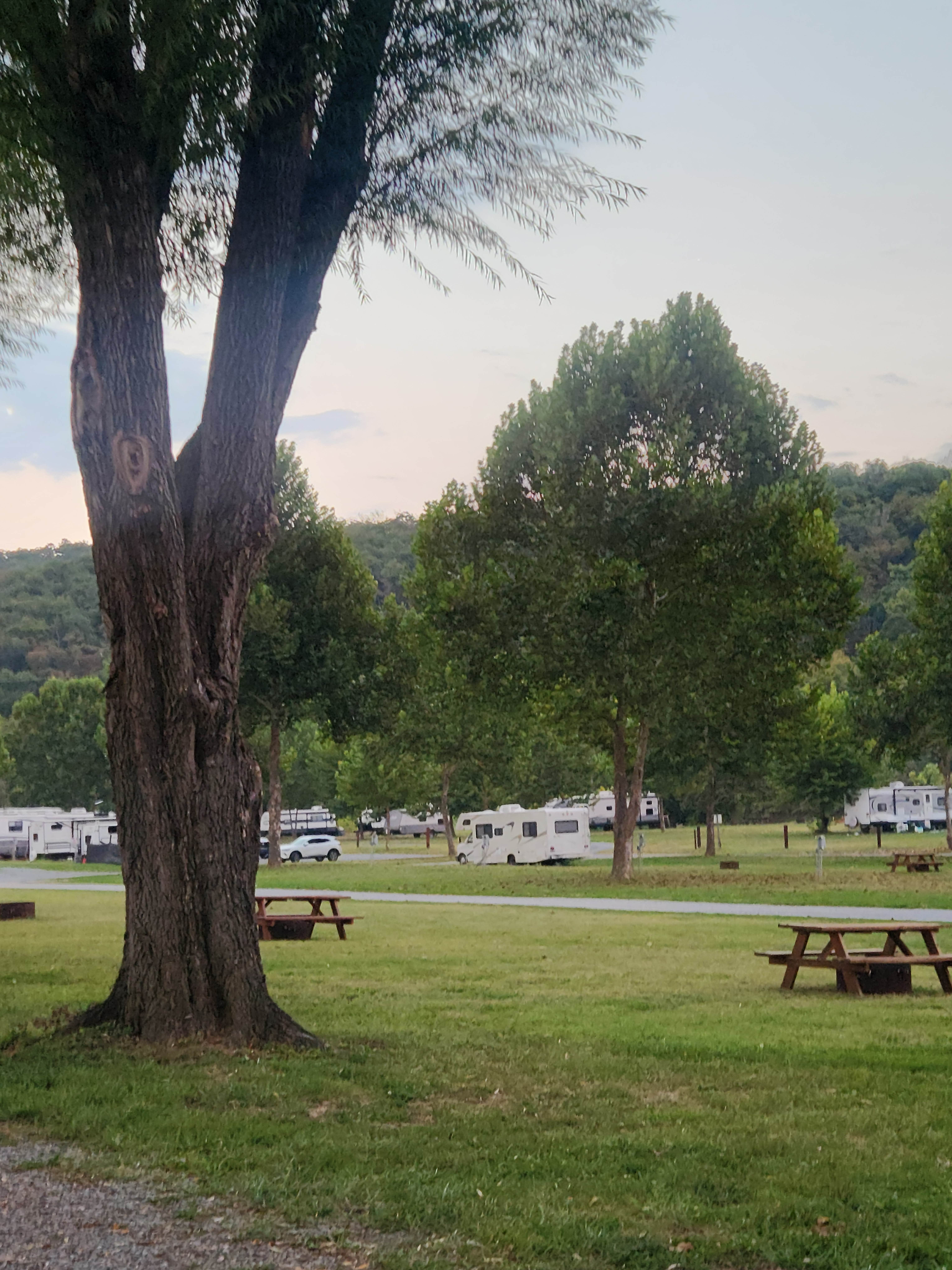 Camper-submitted photo at Watermelon Park Campground near Winchester, VA