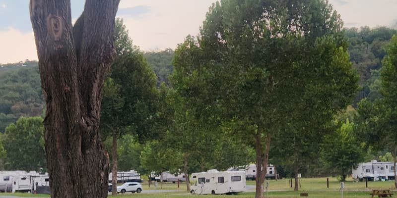 Camper submitted image from Watermelon Park Campground