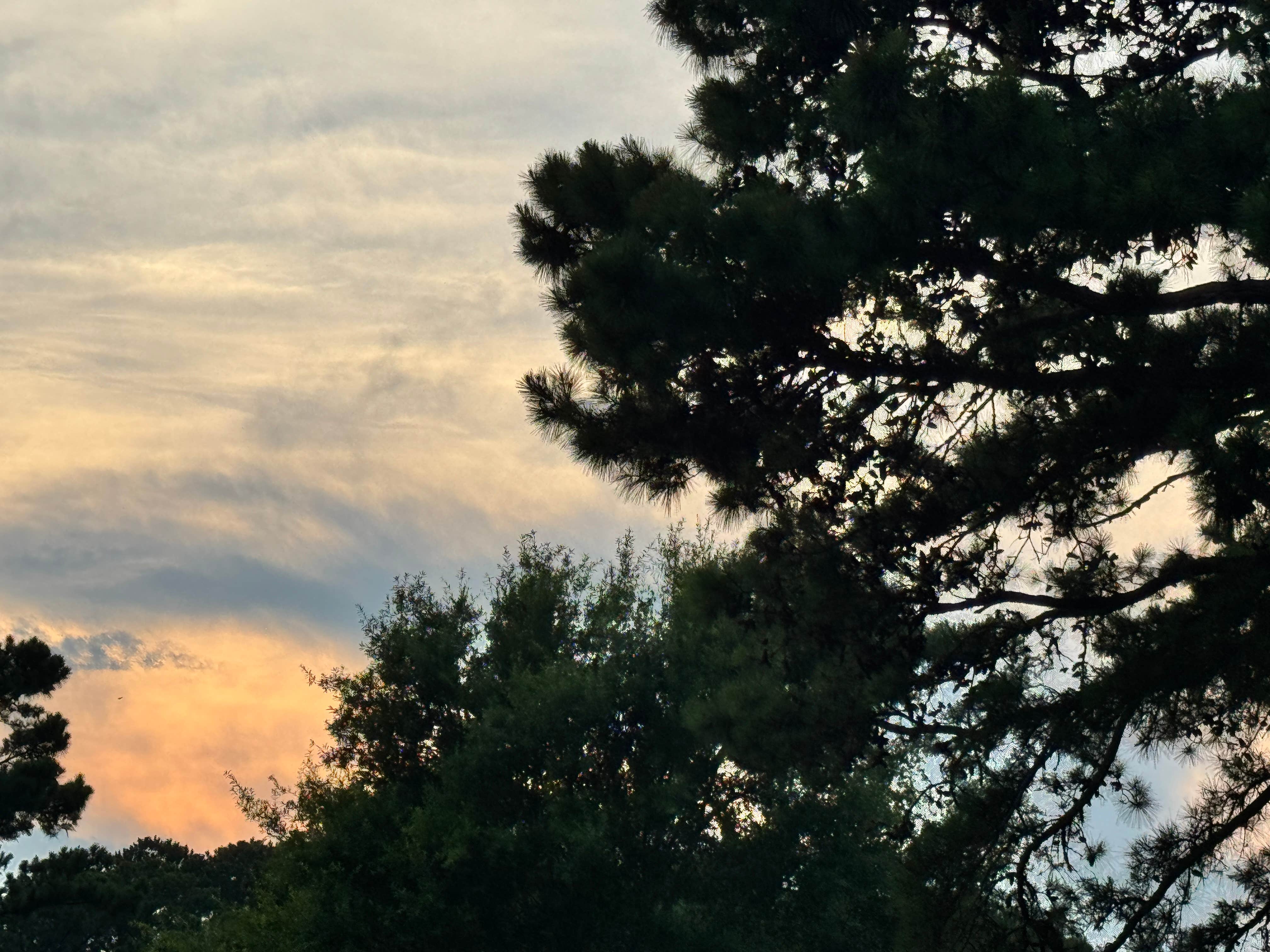 Camper-submitted photo at Waters Edge RV Park near Gloucester, NC