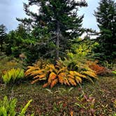 Review photo of Riverside Campground — Watoga State Park by Katrin M., September 24, 2023