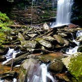 Review photo of Riverside Campground — Watoga State Park by Katrin M., September 24, 2023