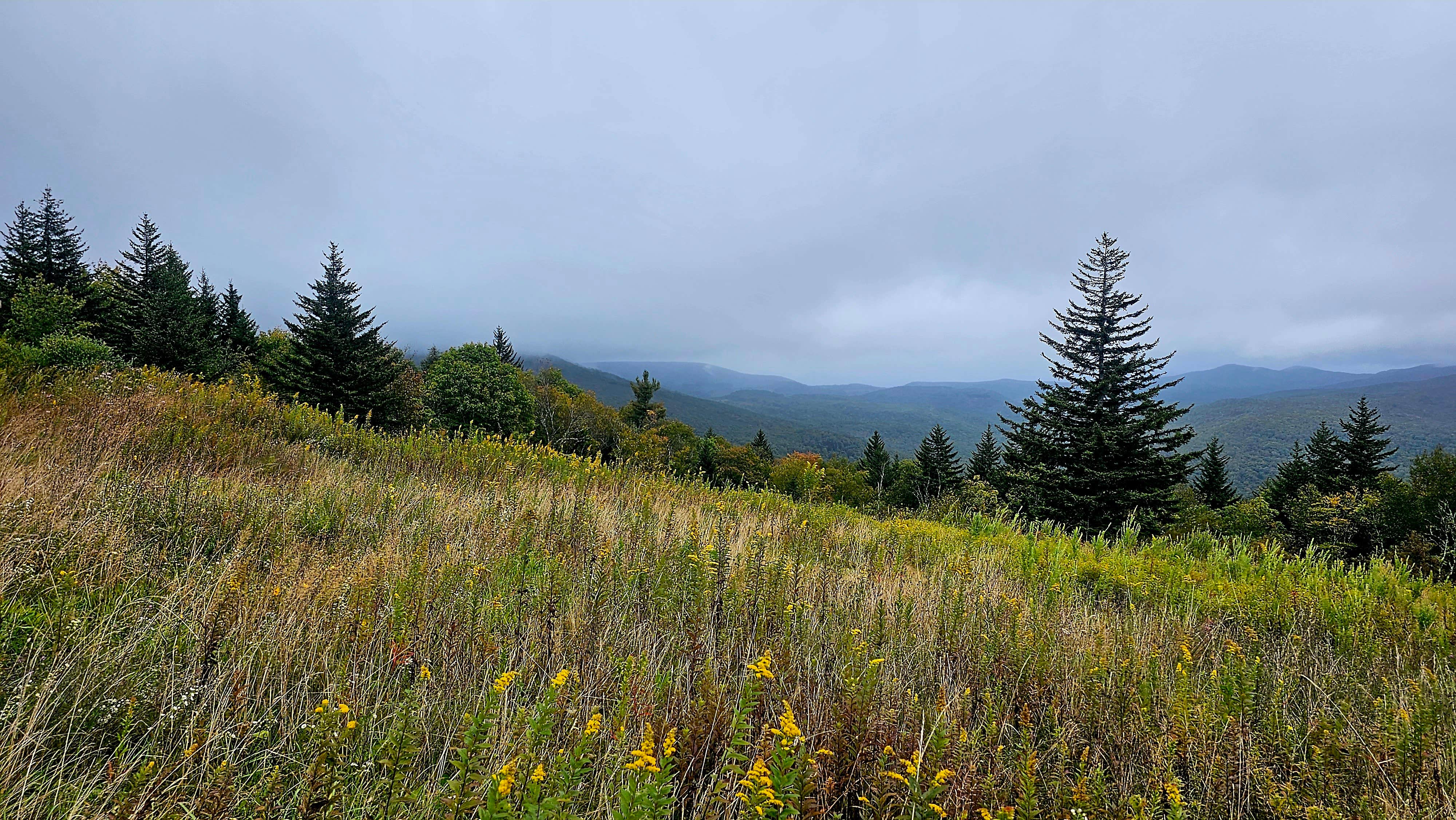 Camper-submitted photo at Riverside Campground — Watoga State Park near Craigsville, WV