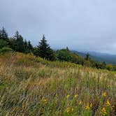 Review photo of Riverside Campground — Watoga State Park by Katrin M., September 24, 2023