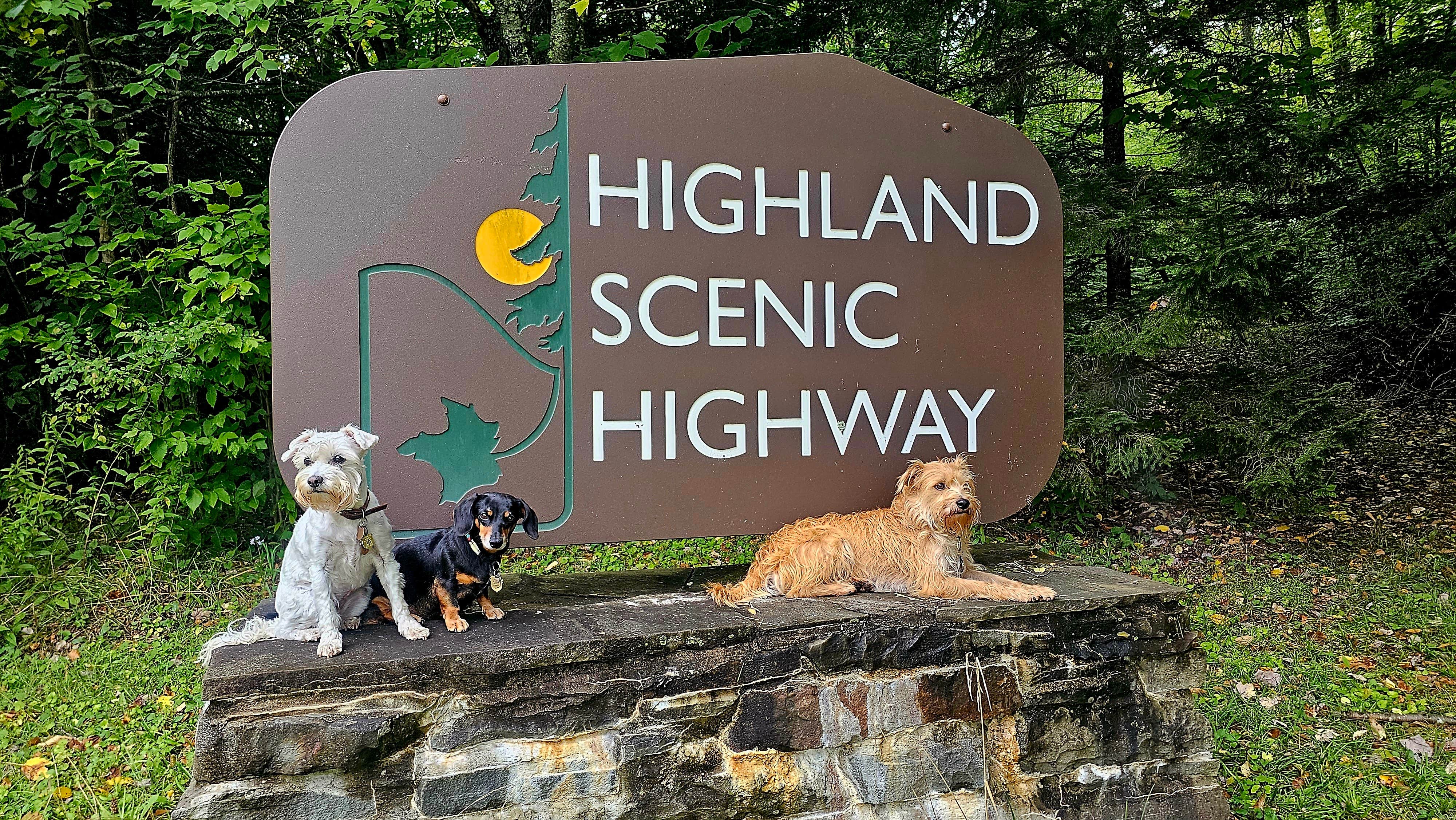 Katrin M.'s photo of camping with pets at Riverside Campground — Watoga State Park near Lewisburg, WV