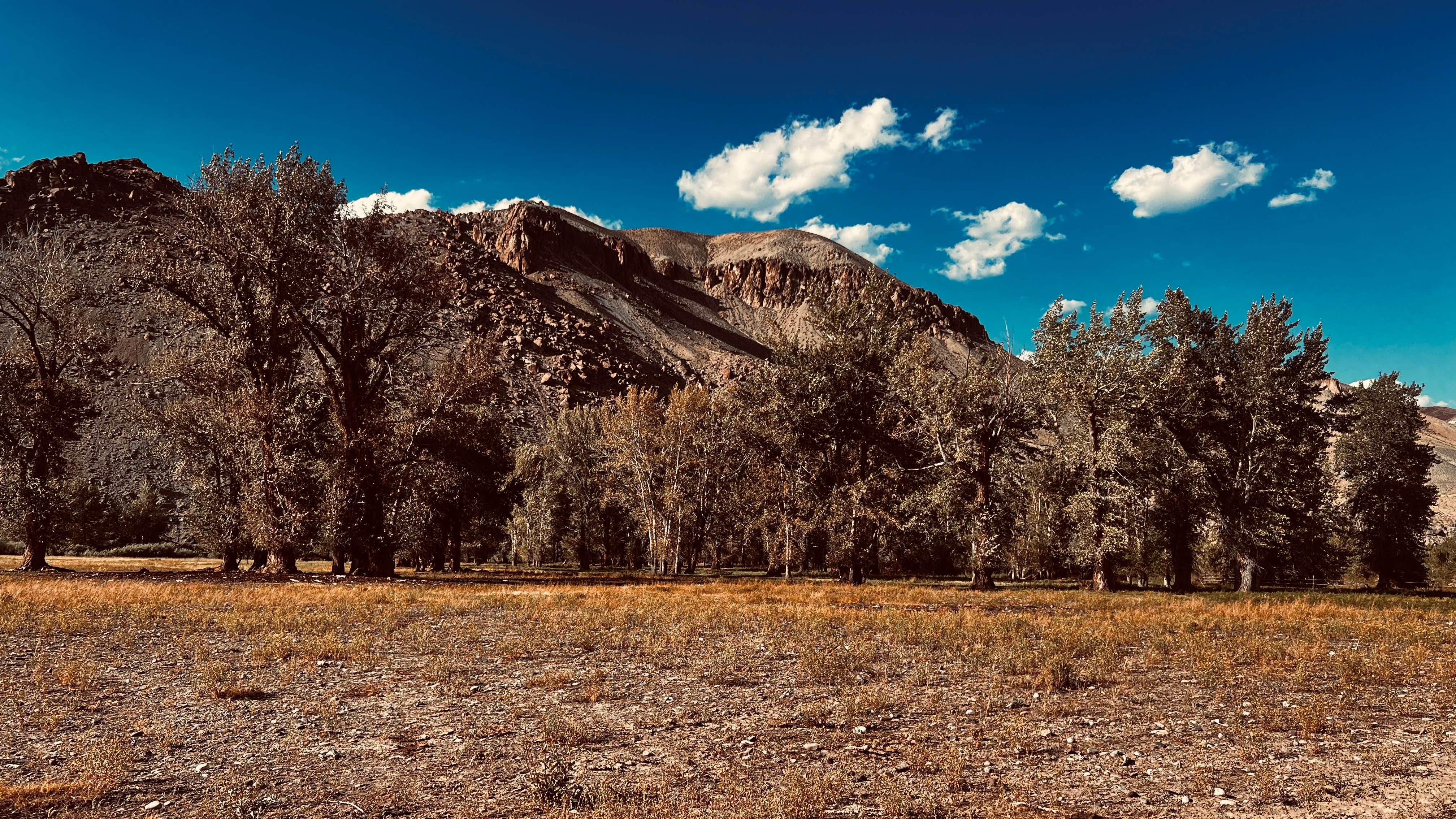 Camper-submitted photo at Watts Bridge Campground near Challis, ID