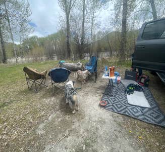 Camper-submitted photo from Watts Bridge Campground