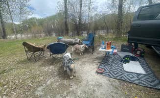Sonya's photo of camping with pets at Watts Bridge Campground near Salmon-Challis National Forest