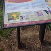 Review photo of Waubonsie State Park Campground by wayne H., September 11, 2025