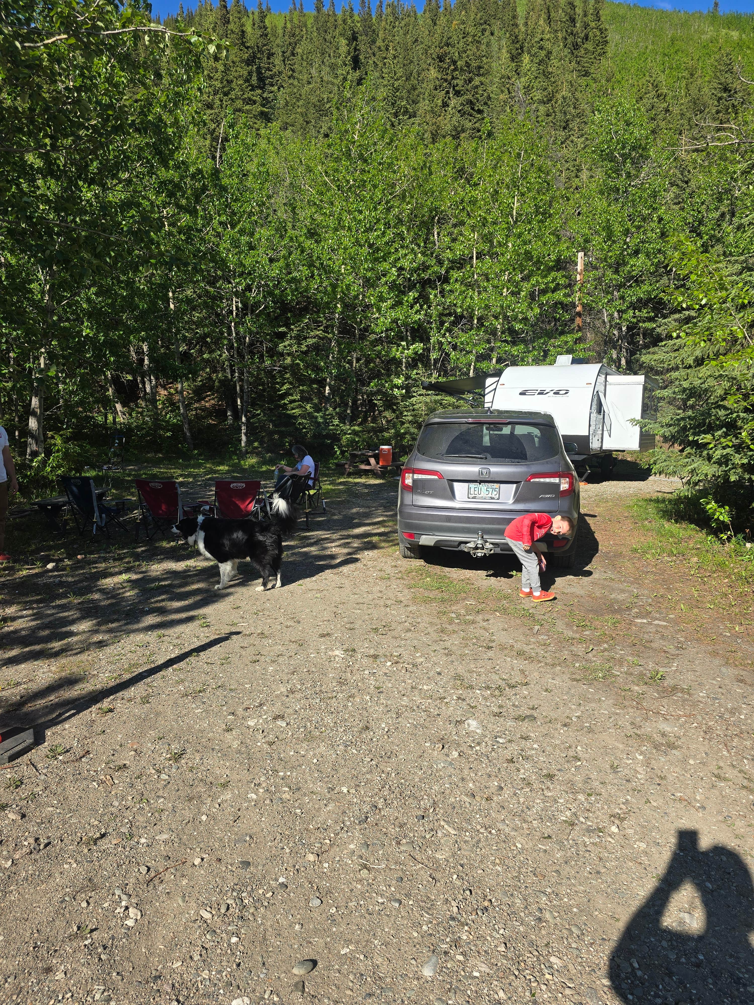 Dana O.'s photo of camping with pets at Waugaman Village RV Park near Denali National Park