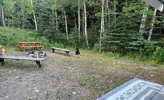 Wes F.'s photo of camping with pets at Waugaman Village RV Park near Denali National Park