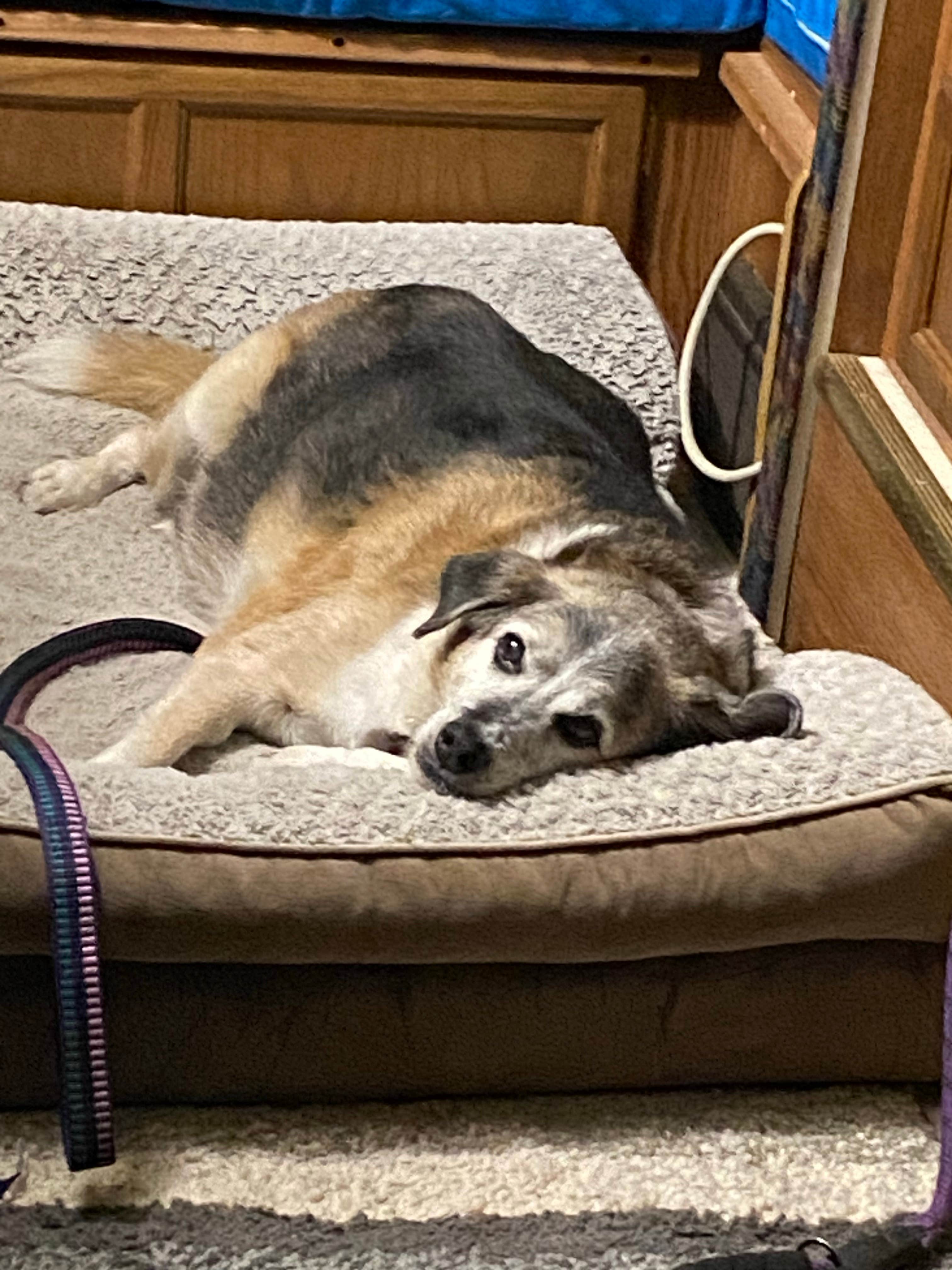 Camper-submitted photo at Fon du Lac County Waupun Park near Beaver Dam, WI