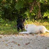 Review photo of Fon du Lac County Waupun Park by Kay K., September 15, 2025