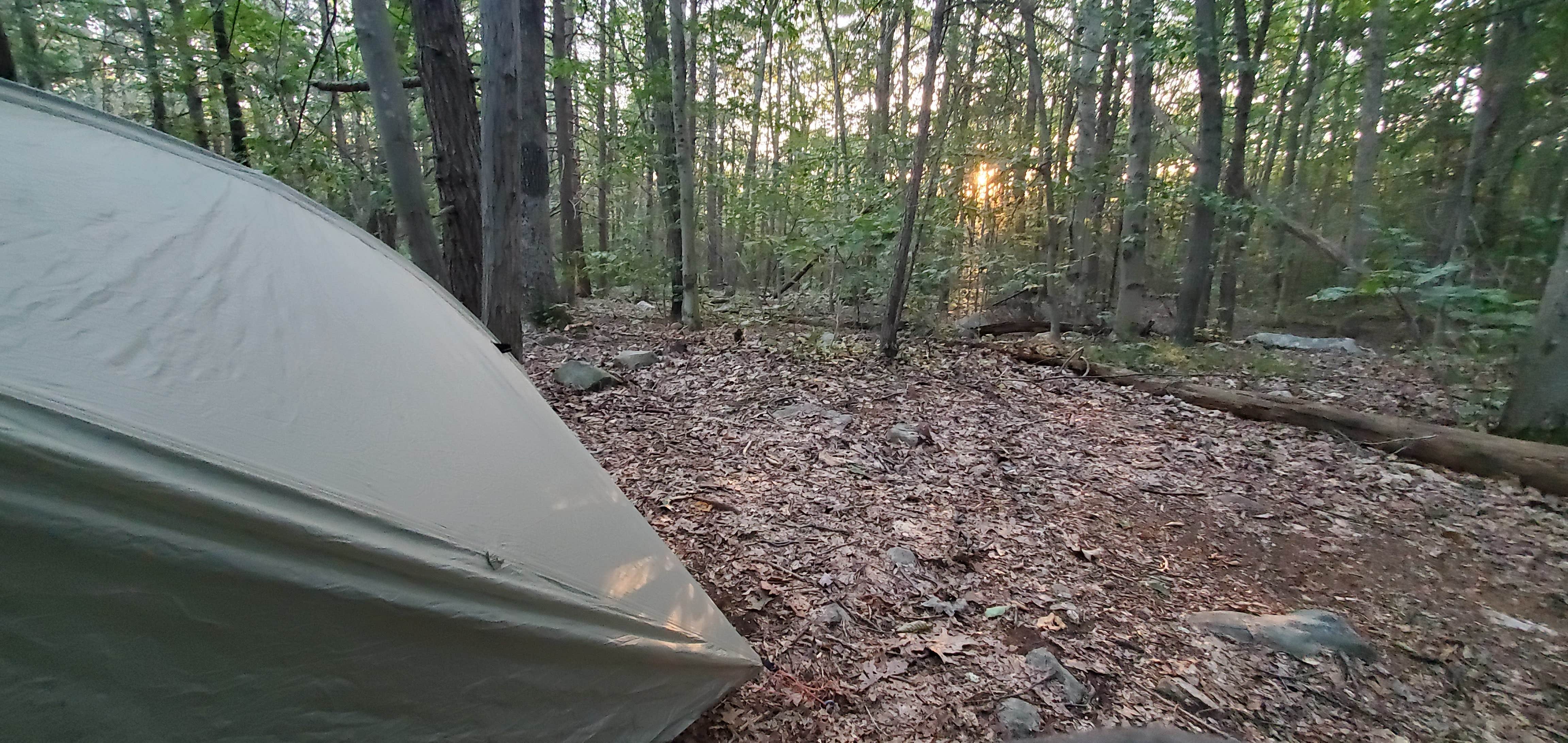 Sue B.'s photo at Wawayanda Group Shelter near Fair Lawn, NJ