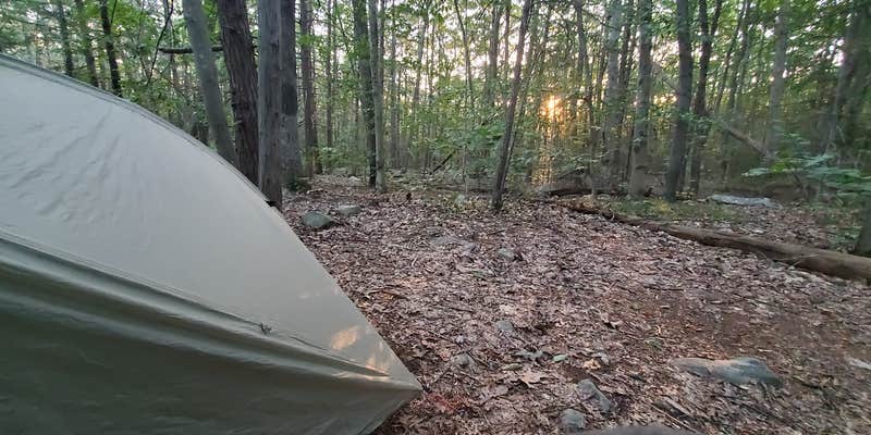 Camper submitted image from Wawayanda Group Shelter
