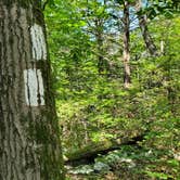 Review photo of Wawayanda Group Shelter by Sue B., July 18, 2026