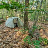 Review photo of Wawayanda Group Shelter by Sue B., July 18, 2026
