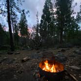 Review photo of Wawona Campground — Yosemite National Park by Kerrie R., June 8, 2025