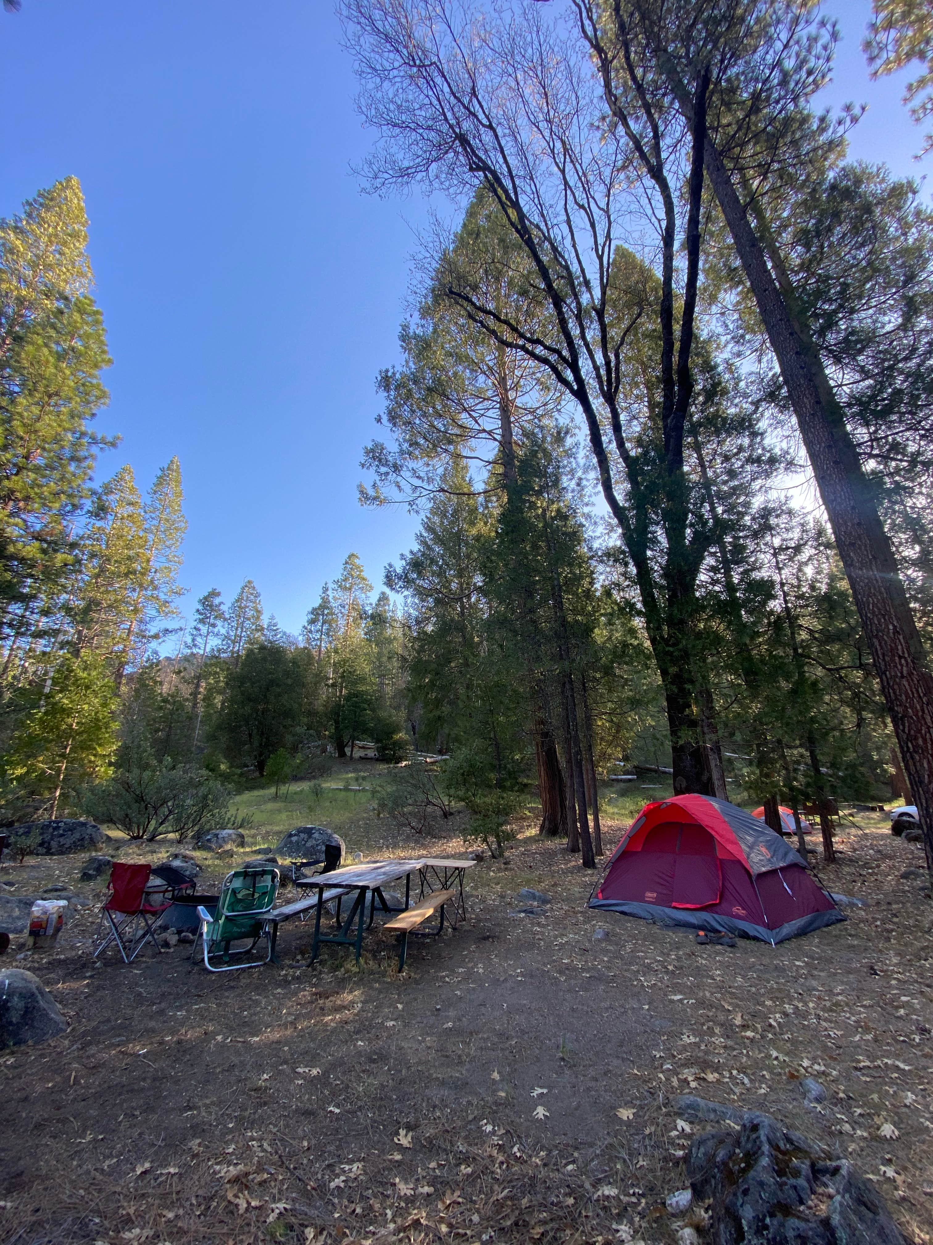 Kerrie R.'s photo at Wawona Campground — Yosemite National Park near Wawona, CA