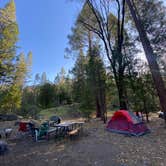 Review photo of Wawona Campground — Yosemite National Park by Kerrie R., June 8, 2025