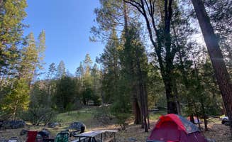 Kerrie R.'s photo at Wawona Campground — Yosemite National Park near Fish Camp, CA