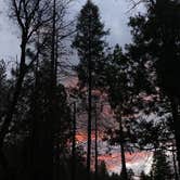 Review photo of Wawona Campground — Yosemite National Park by Kerrie R., June 8, 2025