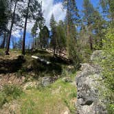 Review photo of Wawona Campground — Yosemite National Park by Kerrie R., June 8, 2025