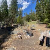 Review photo of Wawona Campground — Yosemite National Park by Kerrie R., June 8, 2025