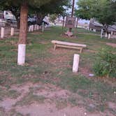 Review photo of Waylon Jennings RV Park by Jill K., May 15, 2025