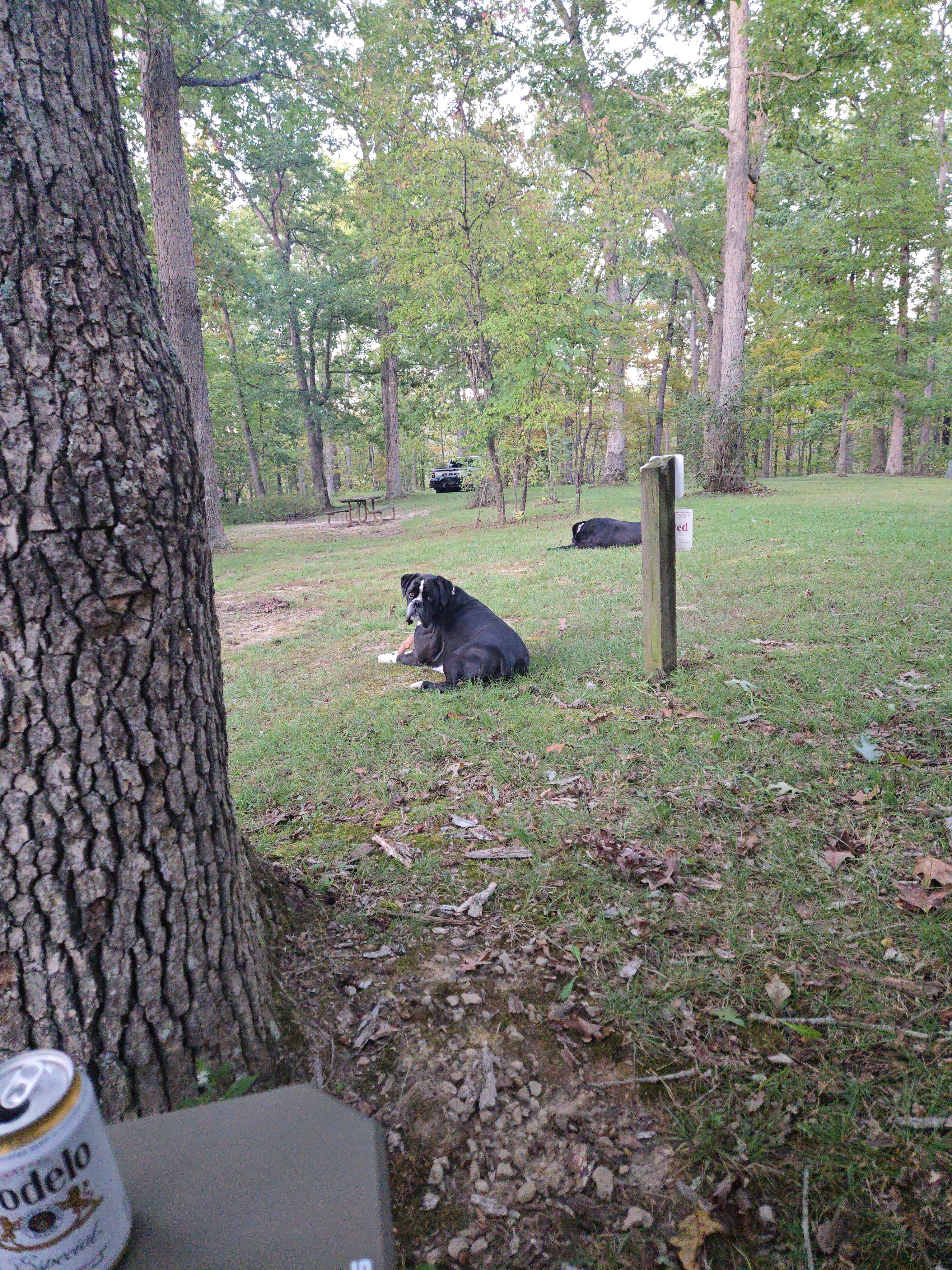 Wayne National Forest Iron Ridge Campground