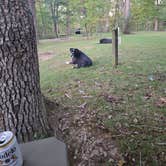 Review photo of Wayne National Forest Iron Ridge Campground by Eli A., October 9, 2026