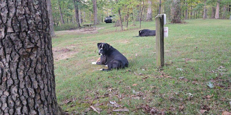 Camper submitted image from Wayne National Forest Iron Ridge Campground
