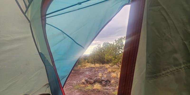 Camper submitted image from Welch Road