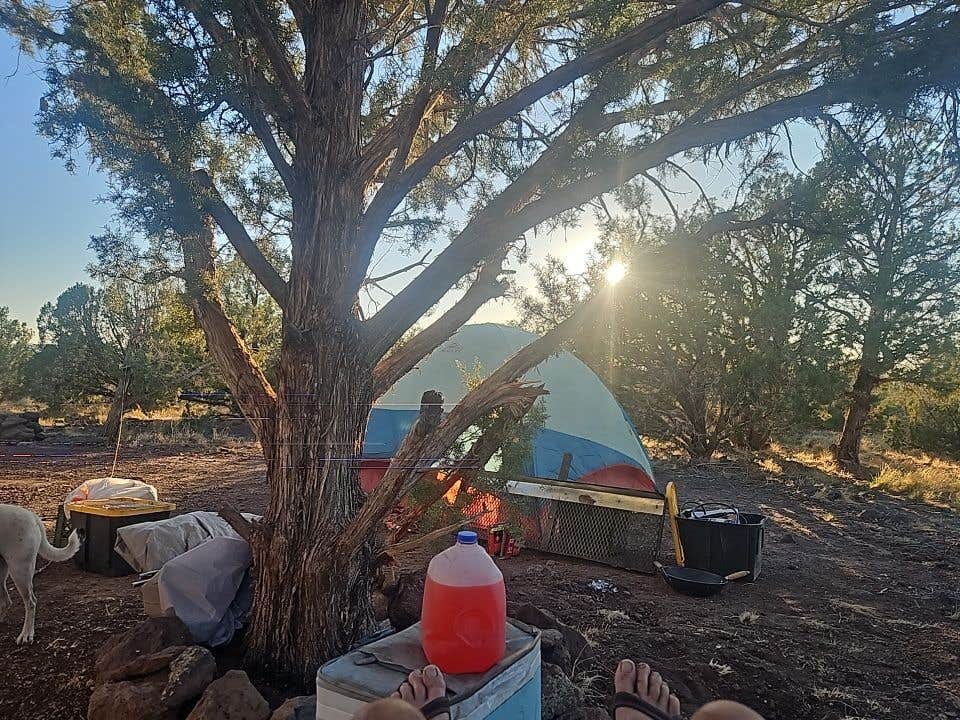 Camper submitted image from Welch Road - 3