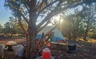 Gregg T.'s photo of camping with pets at Welch Road near Seligman, AZ