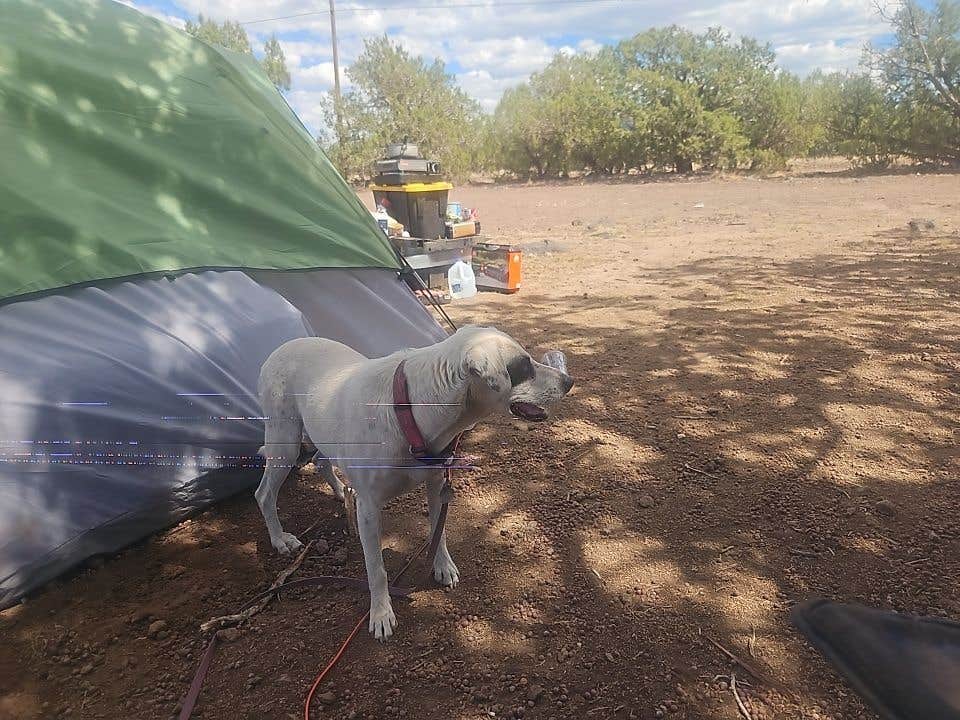 Camper-submitted photo at Welch Road near Seligman, AZ