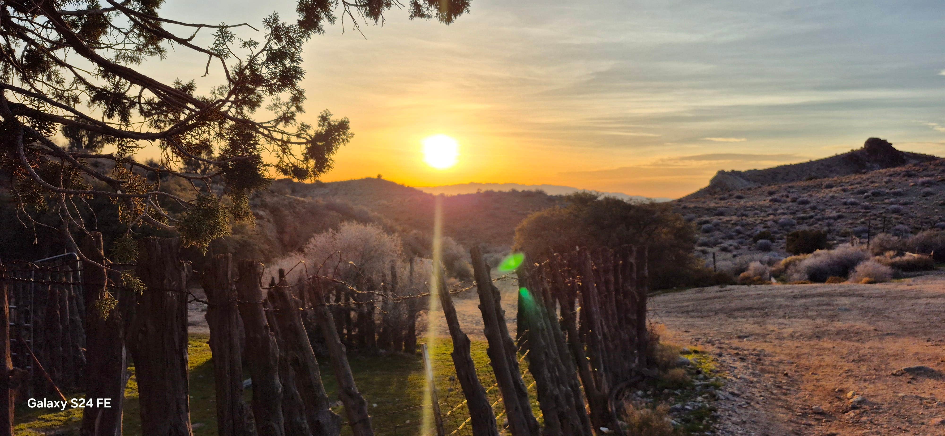 Camper-submitted photo at Welcome Springs near Mesquite, NV