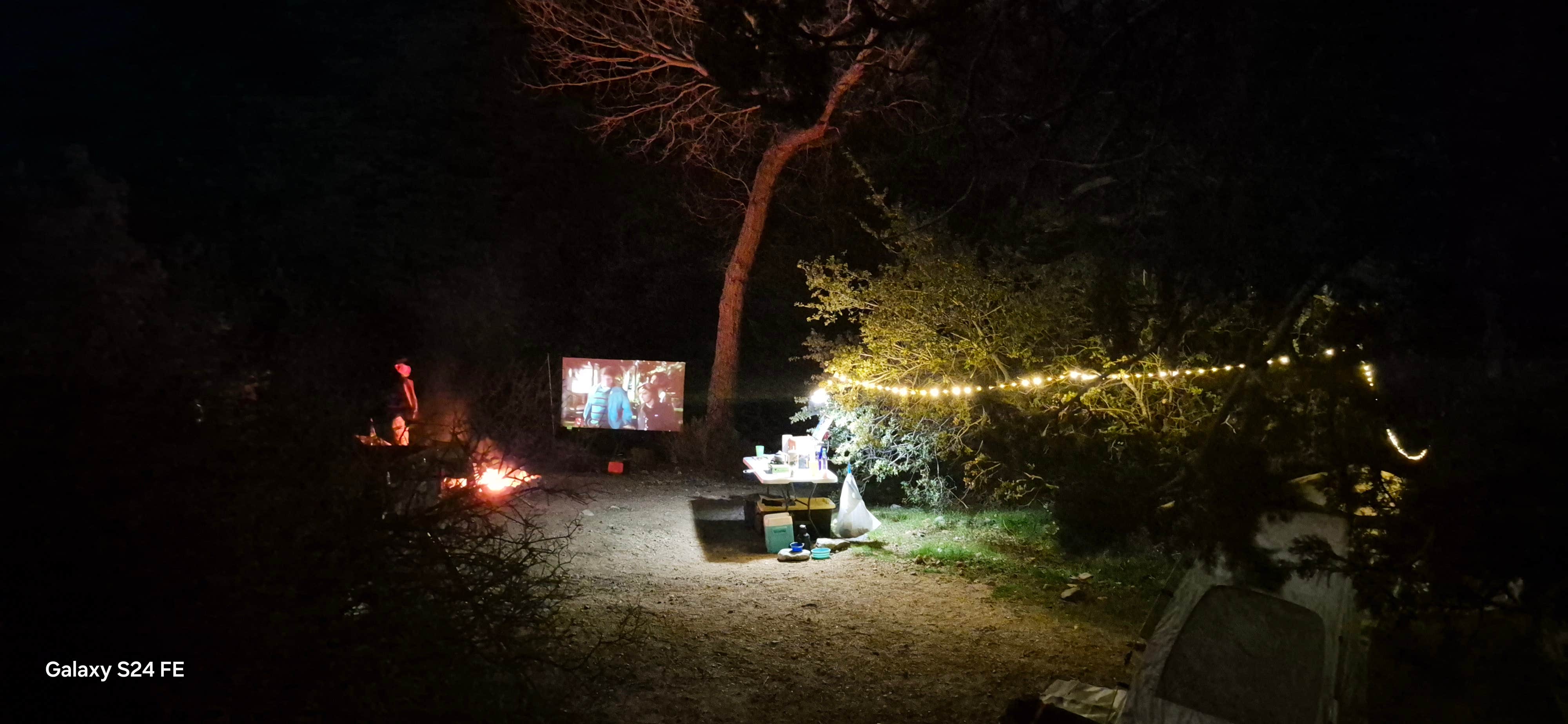 Camper submitted image from Welcome Springs - 1