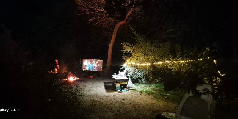 Camper submitted image from Welcome Springs