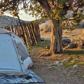 Review photo of Welcome Springs by Candace M., February 1, 2026