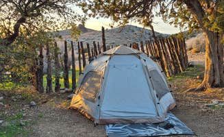 Candace M.'s photo at Welcome Springs near Bunkerville, NV