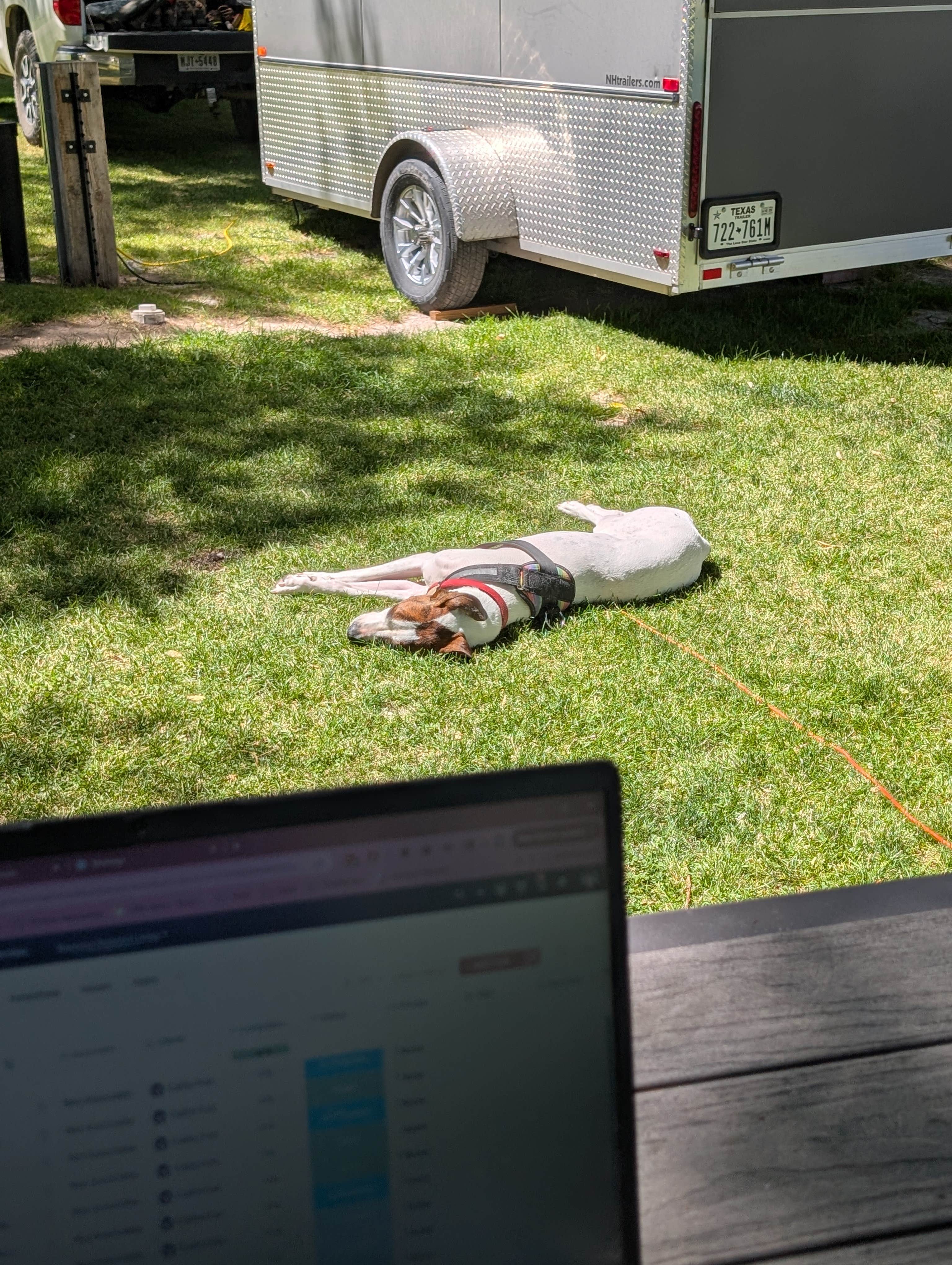 Cathy F.'s photo of camping with pets at Welcome Station RV Park near Wells, NV