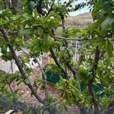 Review photo of Welcome Station RV Park by Tunis C., May 21, 2026