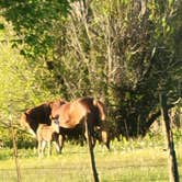 Review photo of Welcome Station RV Park by Sarah F., May 26, 2025