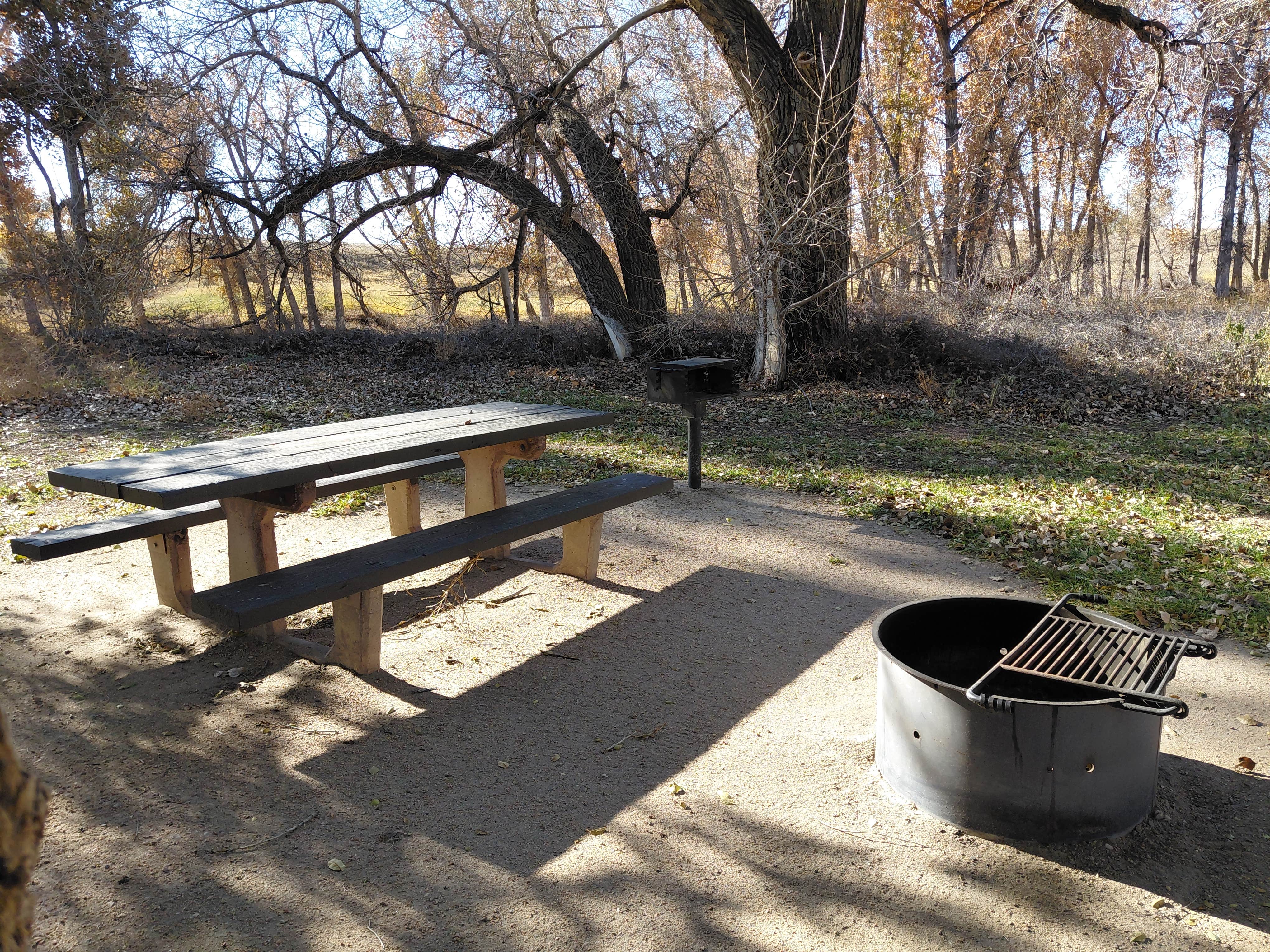 Camper-submitted photo at weld road 49 dispersed camping near Ault, CO