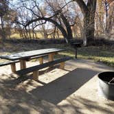 Review photo of weld road 49 dispersed camping by Todd T., October 31, 2025